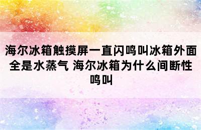 海尔冰箱触摸屏一直闪鸣叫冰箱外面全是水蒸气 海尔冰箱为什么间断性鸣叫